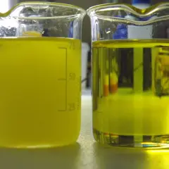 Dwa zlewki z żółtym płynem. Na lewej widać osad, co może sugerować, w jakiej temperaturze zamarza diesel.