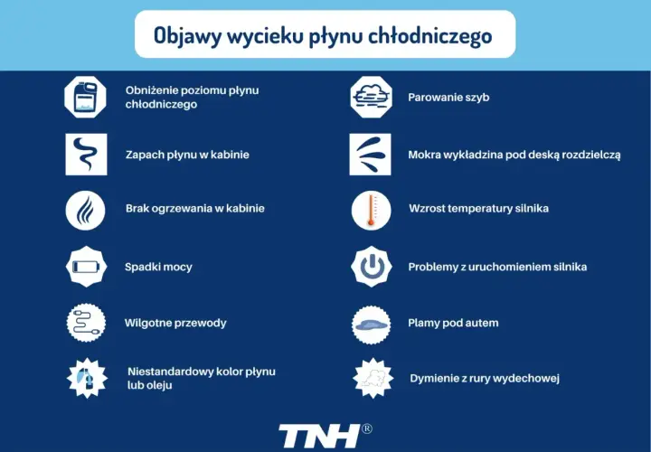 Grafika przedstawia listę objawów wycieku płynu chłodniczego z ikonami.