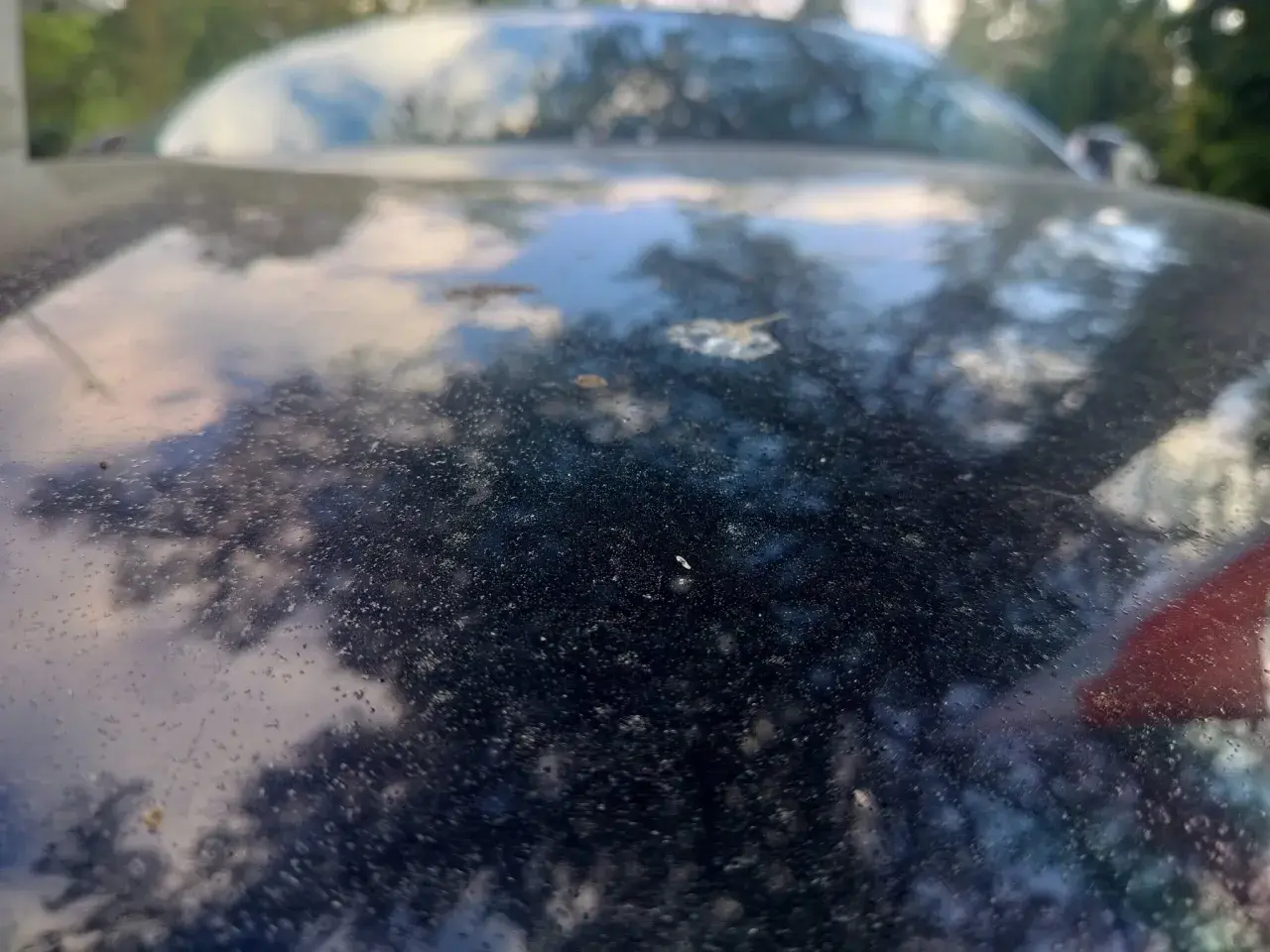 Uszkodzony lakier po ptasich odchodach, widoczne drobne plamki i zacieki na ciemnym samochodzie.
