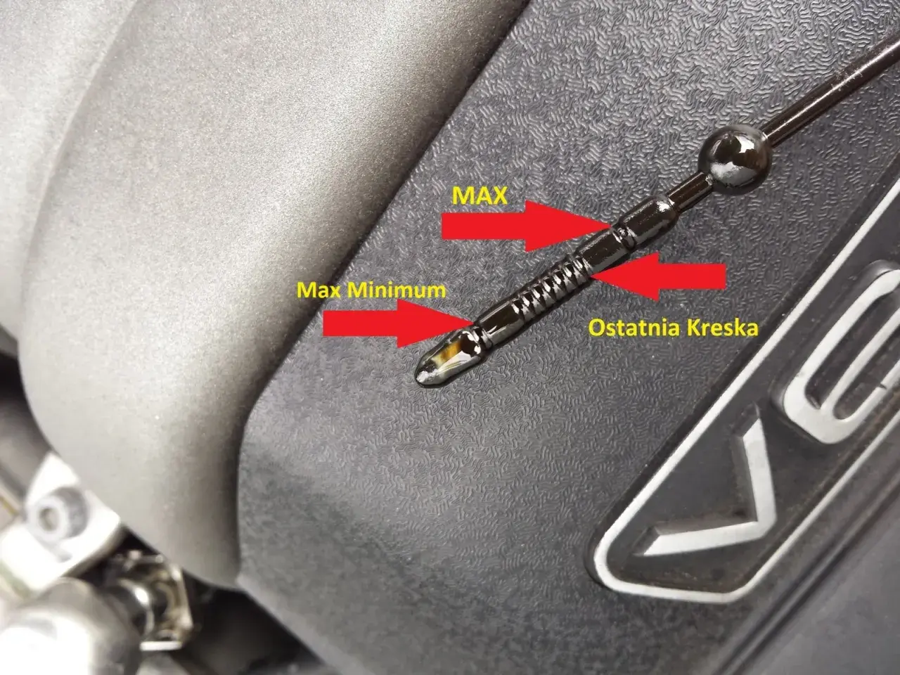 Prawidłowy poziom oleju na bagnecie Seat Altea, między oznaczeniami "Max Minimum" a "Ostatnia Kreska", blisko "MAX".